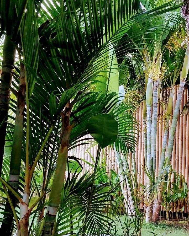 Manusia Dunia Green Lodge Gili Air Dış mekan fotoğraf