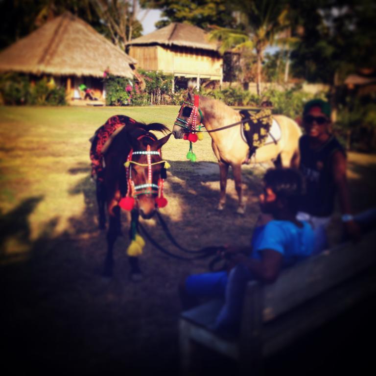 Manusia Dunia Green Lodge Gili Air Dış mekan fotoğraf